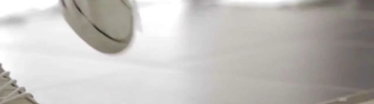 clip0001 12 11 65 0100