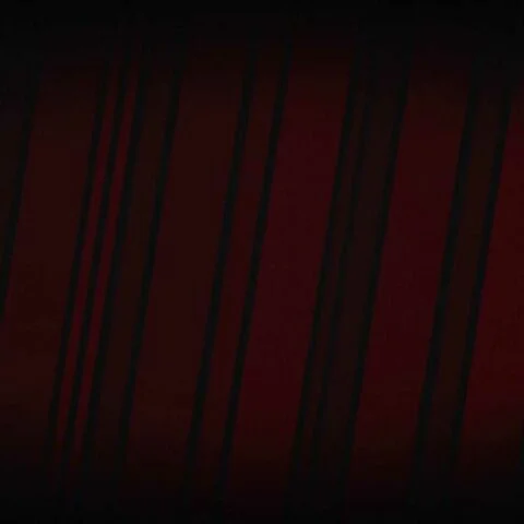 clip001 12 11 65 0164