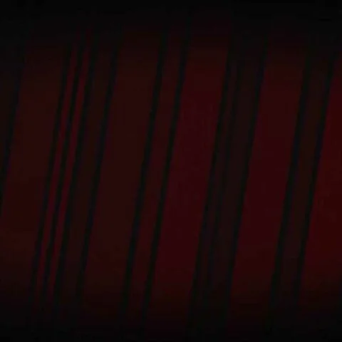 clip001 12 11 65 0169
