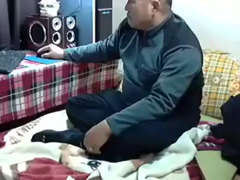 45641564 18 2 660051