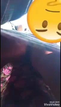 8485465 19 2 660065